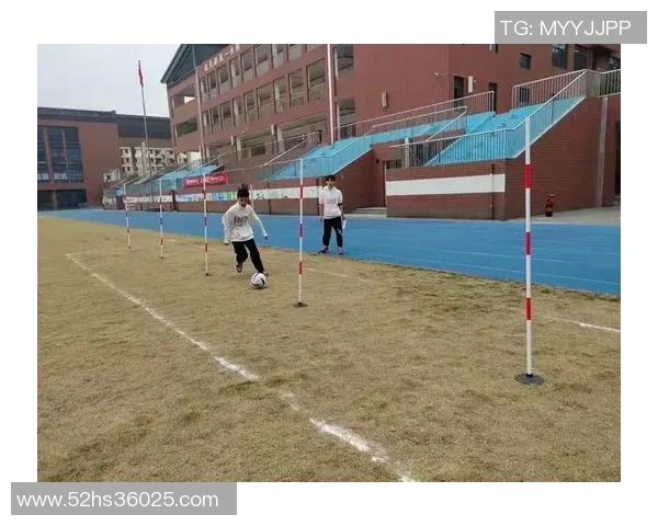 篮球组织效率统计分析与提升策略研究探讨